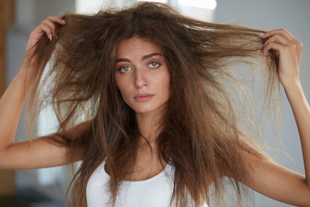 What's The Best Blow Dry Brush For Dry Or Damaged Hair? - Smart Salon Professional